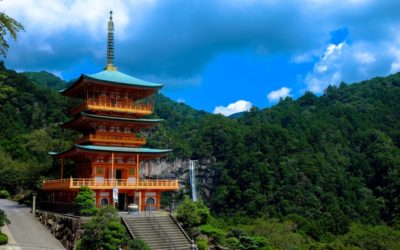 Omotenashi: Paz en Acción